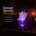 Halloween Raven Crystal Ball Light